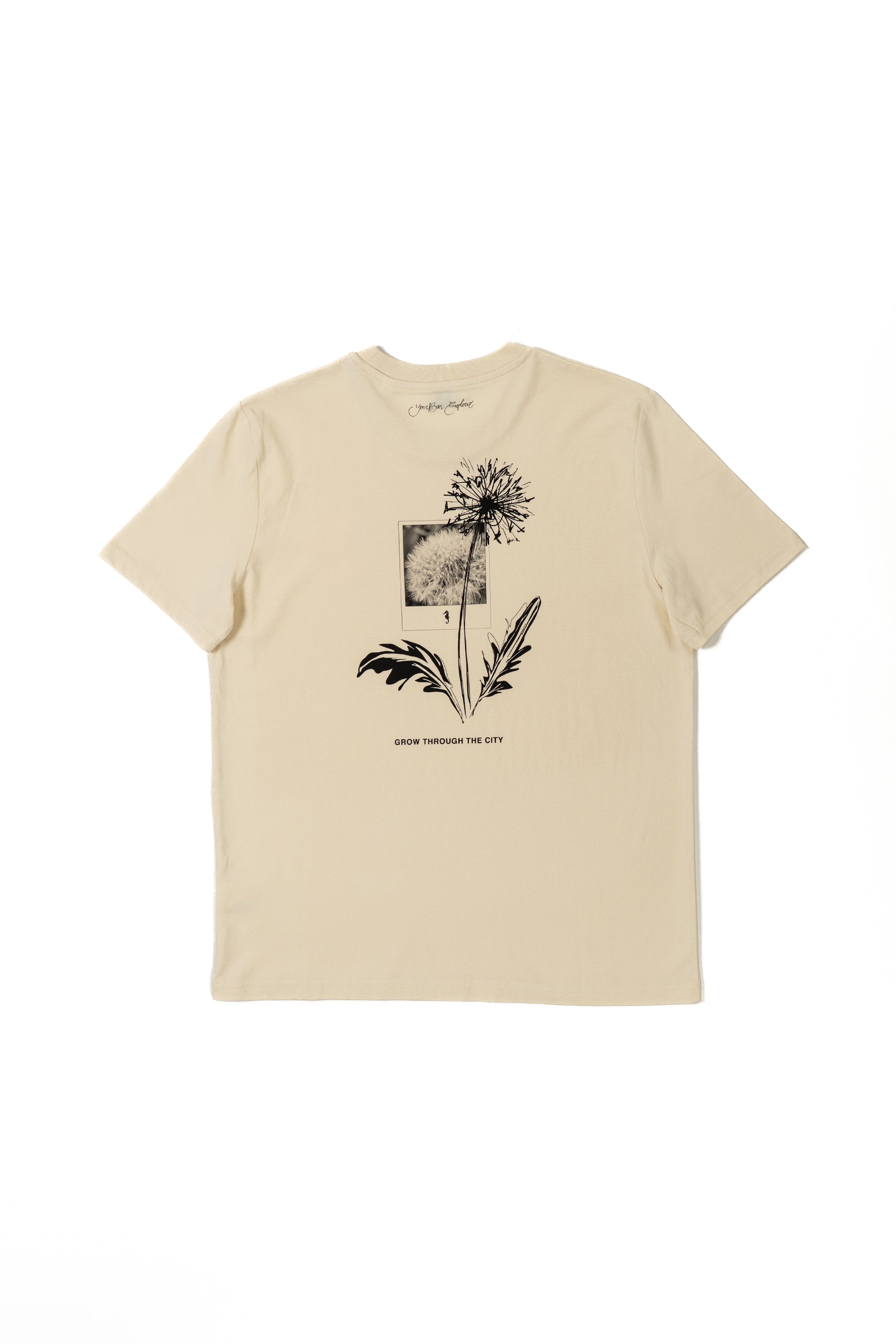 POSTED TEE HONEY